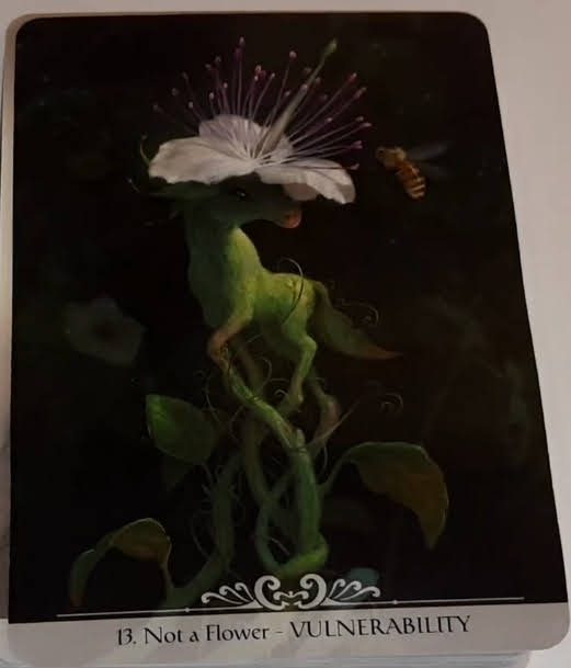 Barbieri Unicorns Oracle